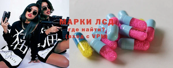 прущие грибы Михайлов