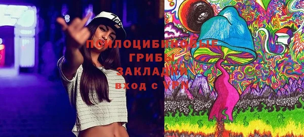 спиды Михайловка