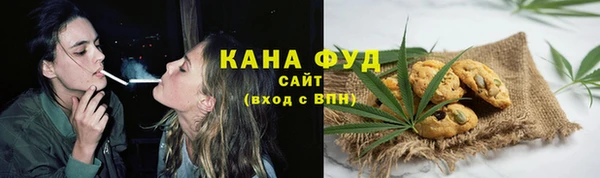 прущие грибы Михайлов