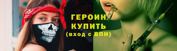 прущие грибы Михайлов
