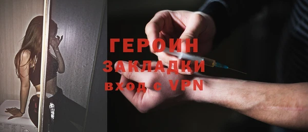 прущие грибы Михайлов