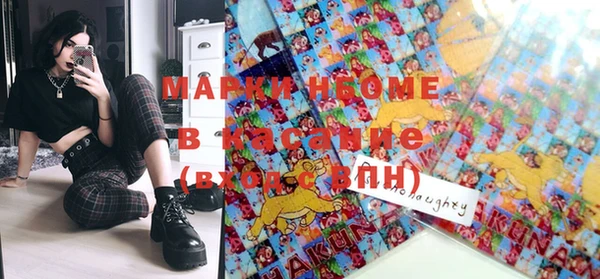 прущие грибы Михайлов