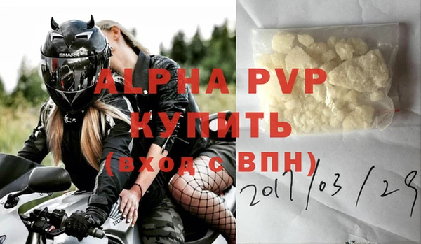 прущие грибы Михайлов
