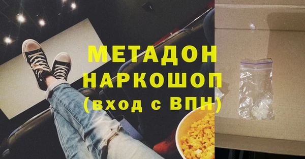 прущие грибы Михайлов