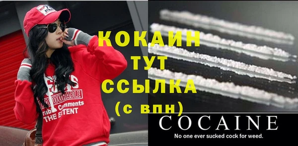 прущие грибы Михайлов