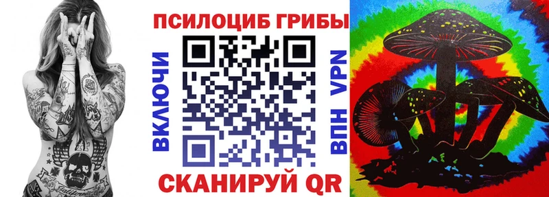 площадка как зайти  Тихвин  Псилоцибиновые грибы Psilocybe  цены наркотик 